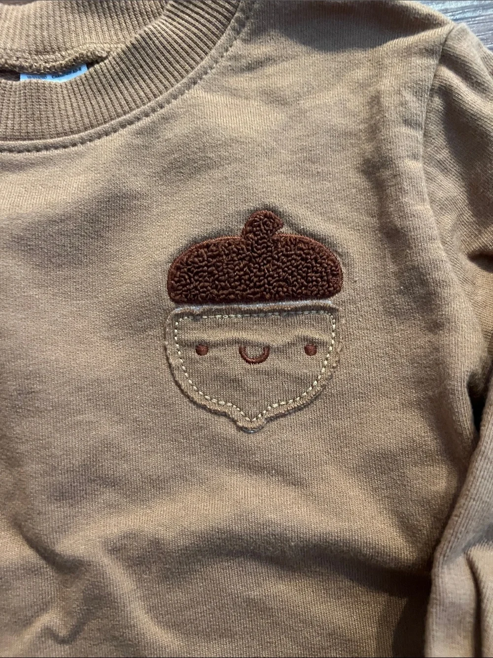 Carter's Tan Sweatshirt with Brown Acorn Applique